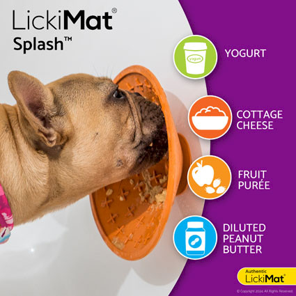 LickiMat® Splash™ - Food suggestions