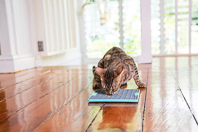 LickiMat® TUFF™ Playdate Cat - 